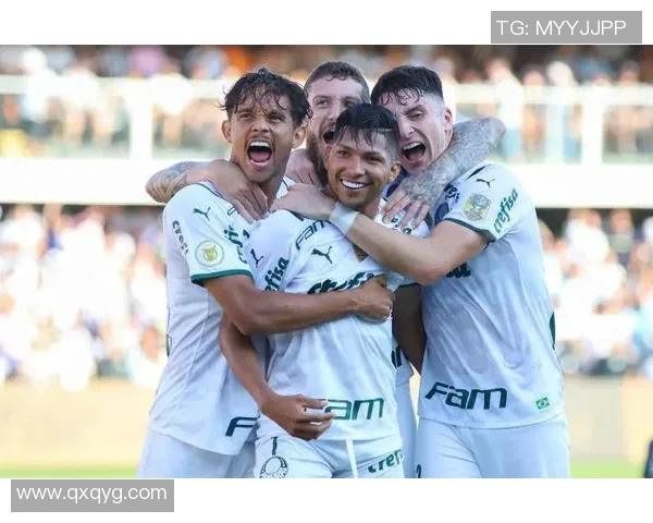 巴甲第30轮赛程全面解析及精彩对决前瞻与球队状态分析